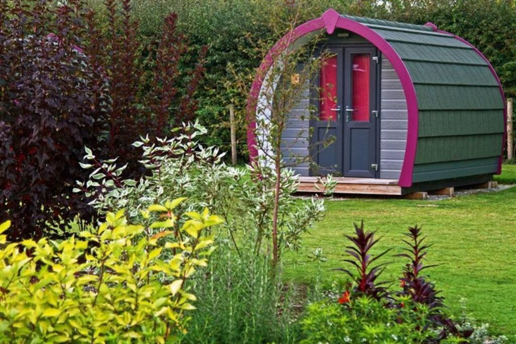 Belle Vista Glamping & Camping York Exterior photo